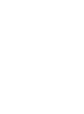 Robert Ahadizad Newport Logo